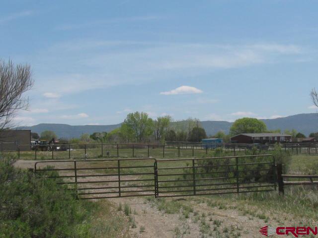 45 Country Meadows Place Property Photo 17