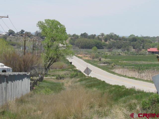 45 Country Meadows Place Property Photo 19