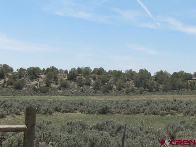 45 Country Meadows Place Property Photo 21
