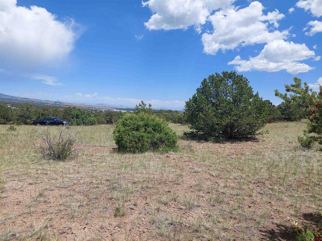 397 Rainbow Trl Property Photo