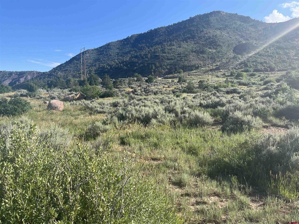 Tbd Cr 213 Property Photo 7