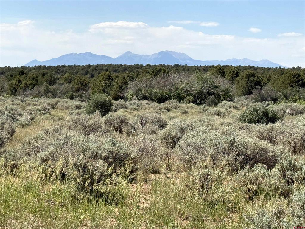 181 Road 9k Property Photo 1