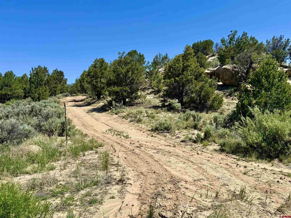 163 CR 402 Road