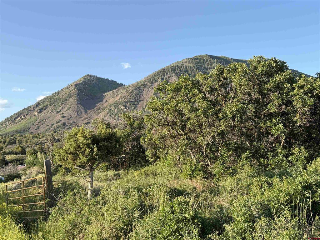 43867 Long Gulch Road Property Photo 6