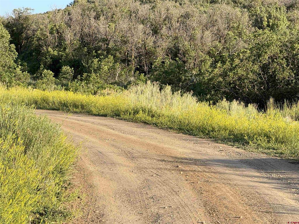 43867 Long Gulch Road Property Photo 18