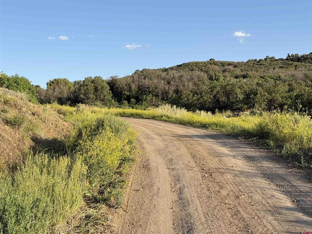 43867 Long Gulch Road Property Photo 23