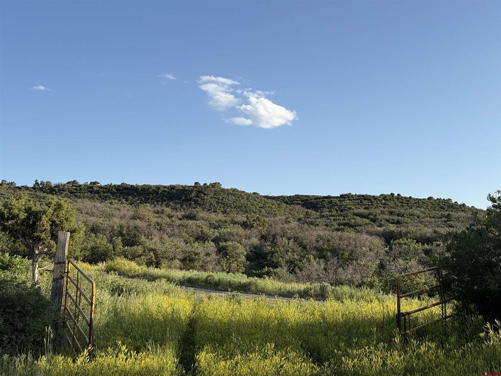 43867 Long Gulch Road Property Photo 25