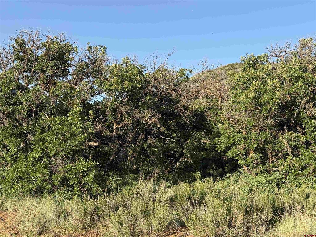 43867 Long Gulch Road Property Photo 26