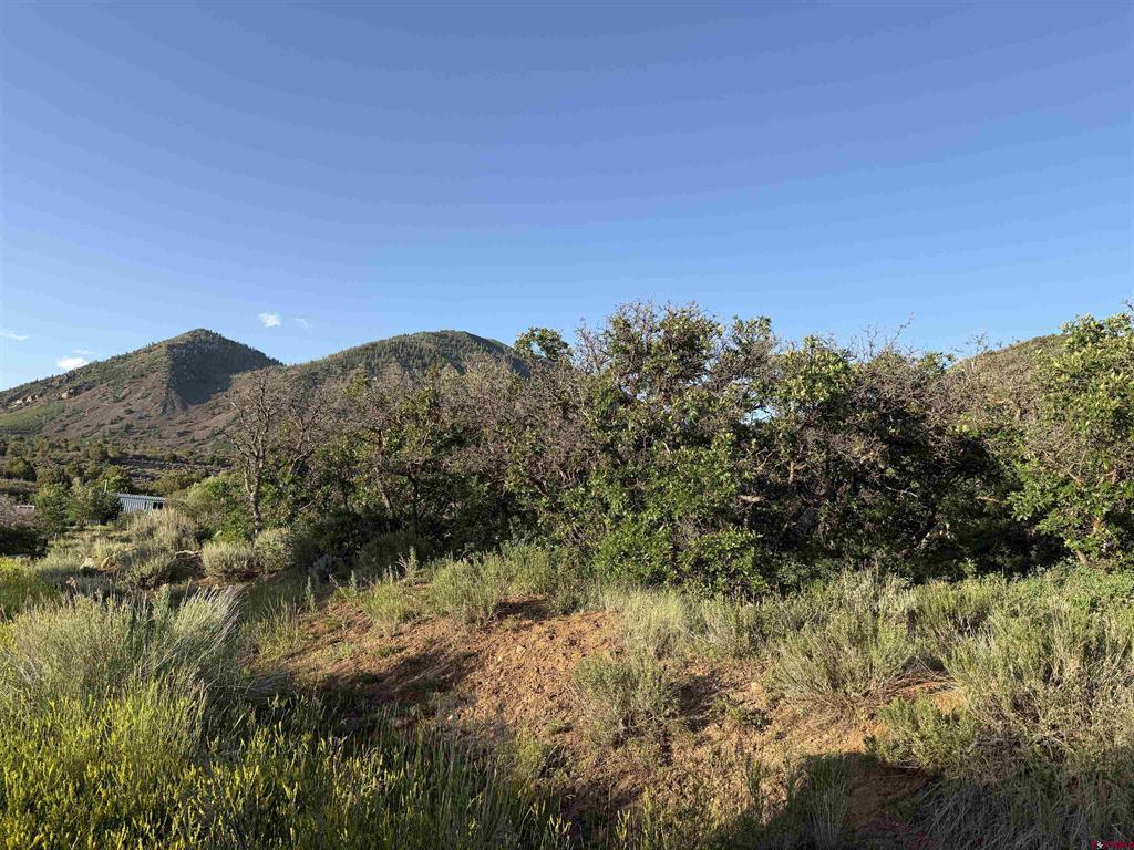 43867 Long Gulch Road Property Photo 27