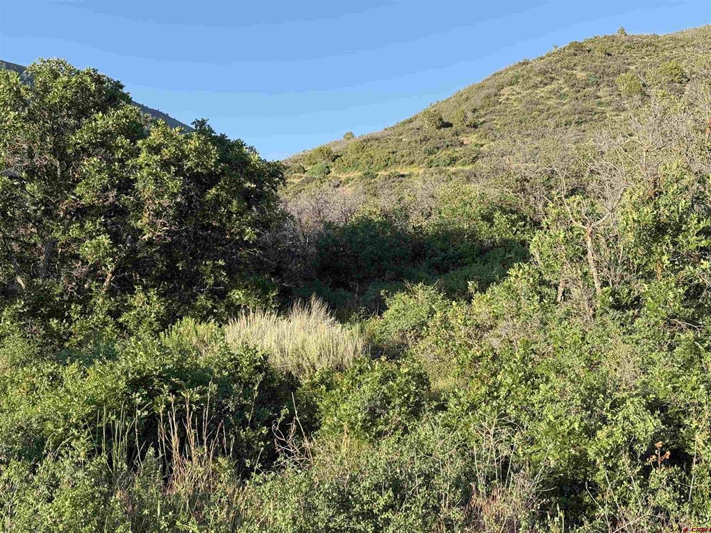 43867 Long Gulch Road Property Photo 28
