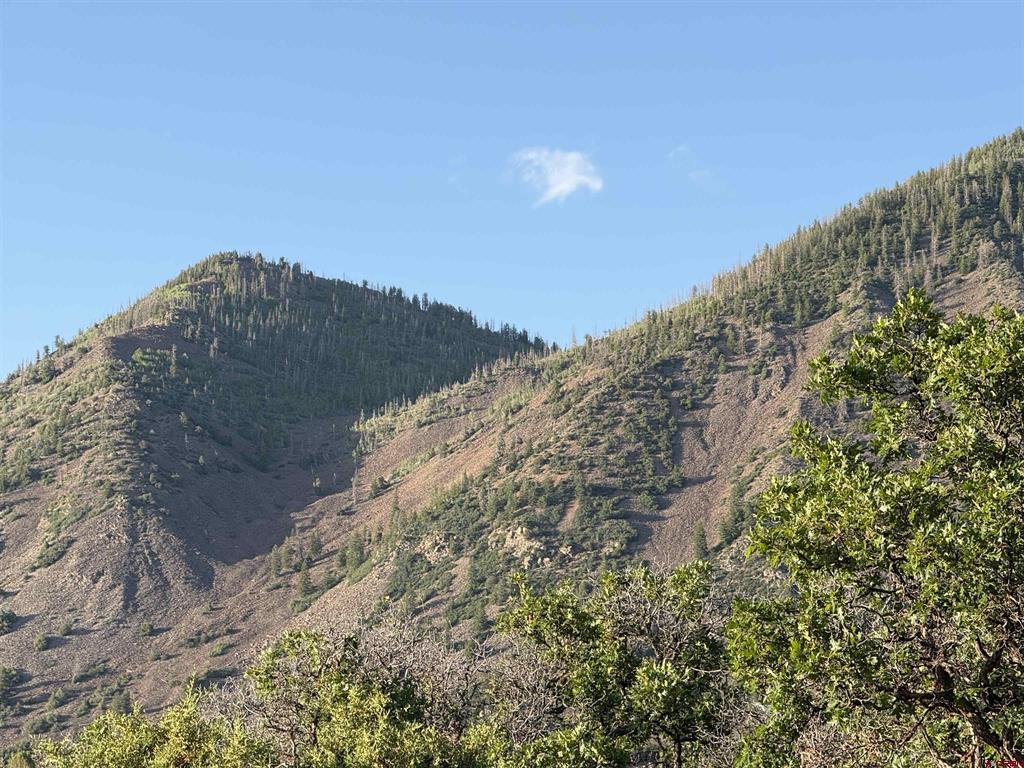 43867 Long Gulch Road Property Photo 29