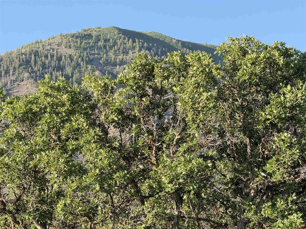43867 Long Gulch Road Property Photo 30