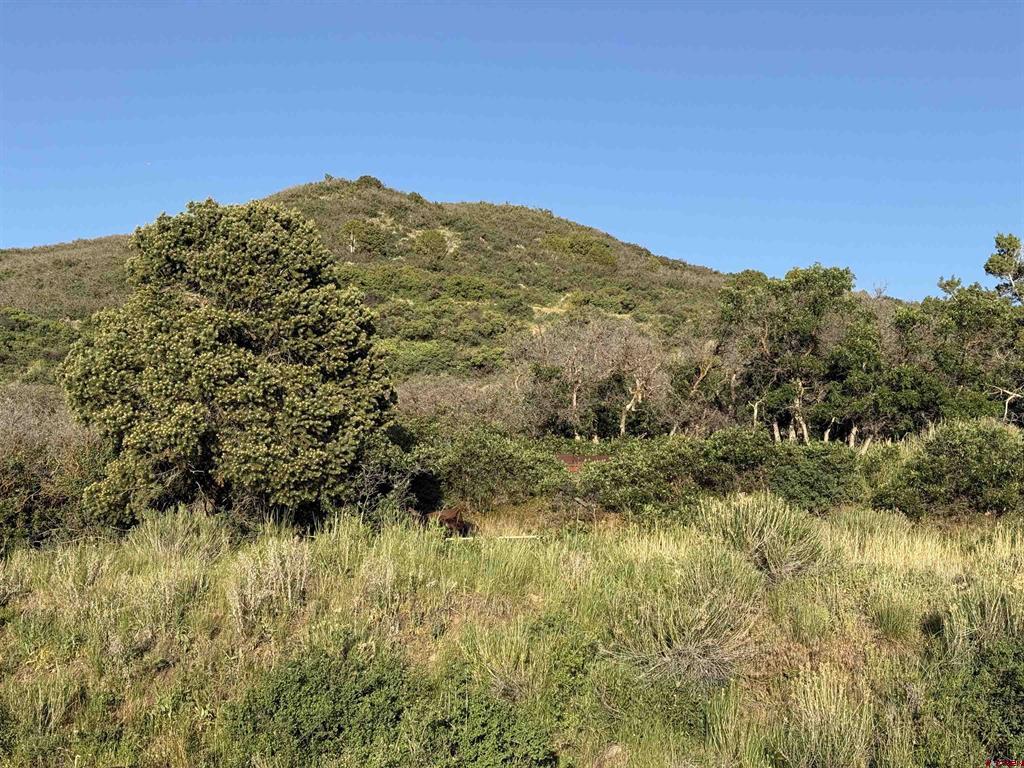 43867 Long Gulch Road Property Photo 31