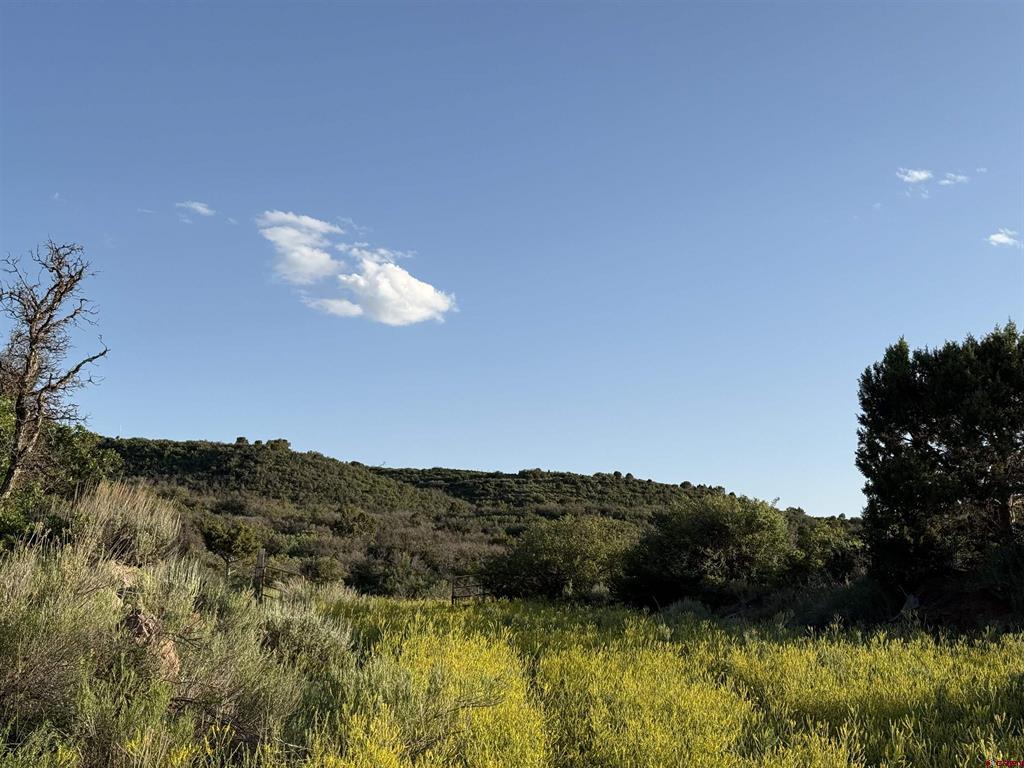 43867 Long Gulch Road Property Photo 33