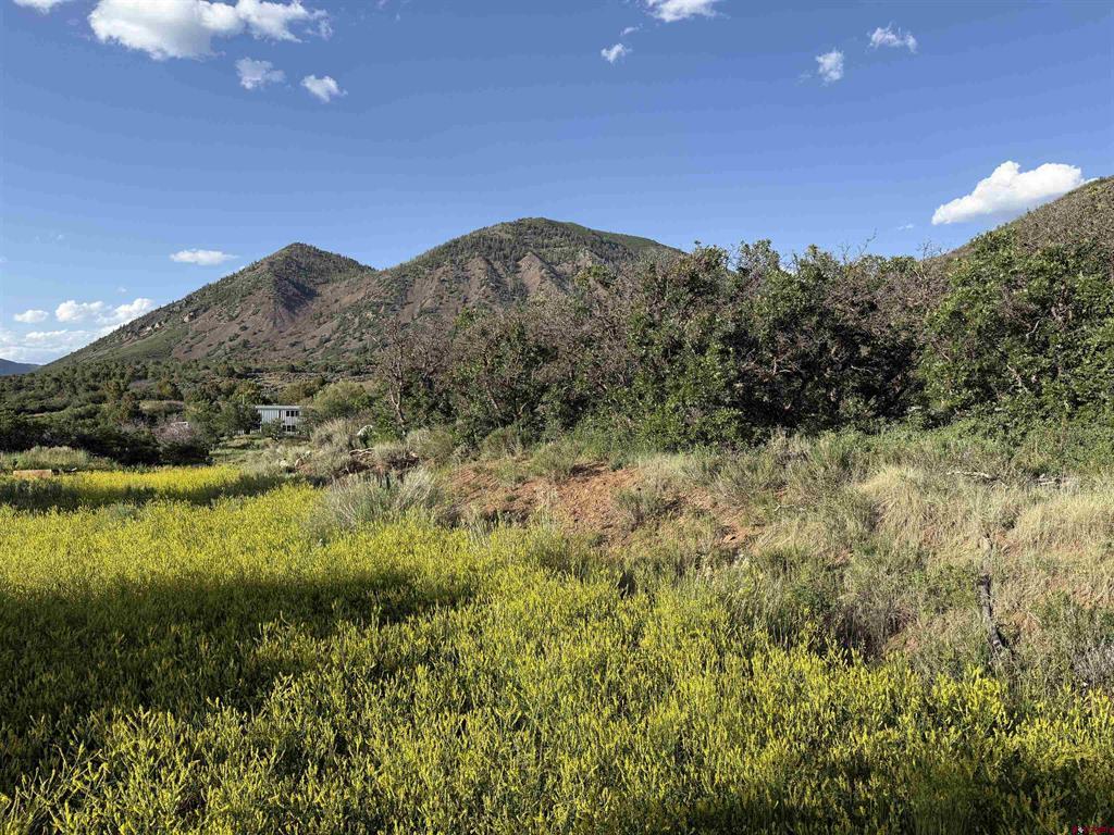 43867 Long Gulch Road Property Photo 34