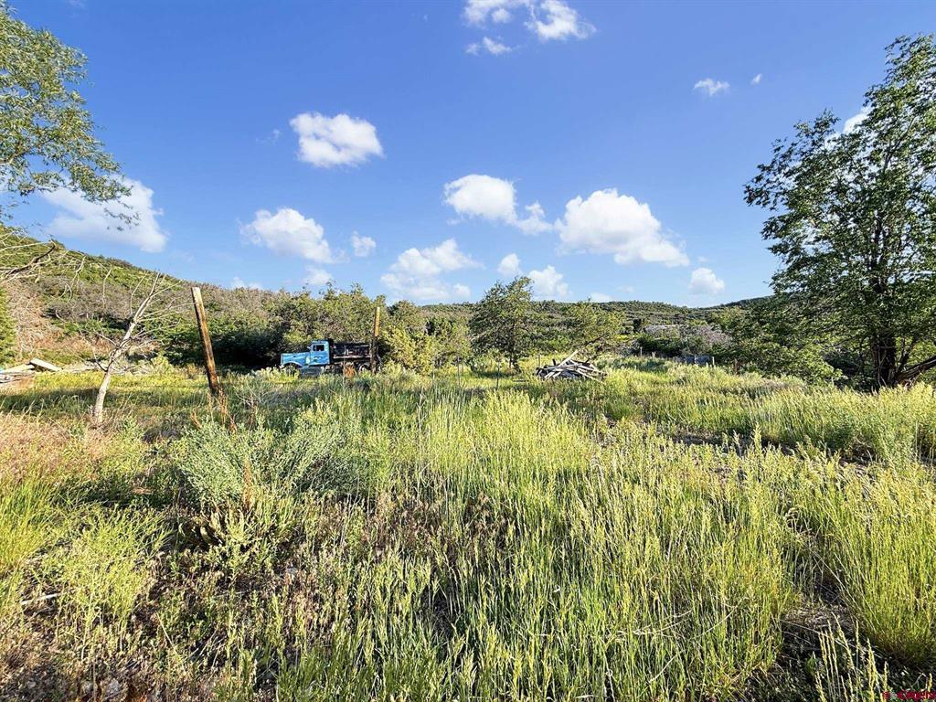 43867 Long Gulch Road Property Photo 38