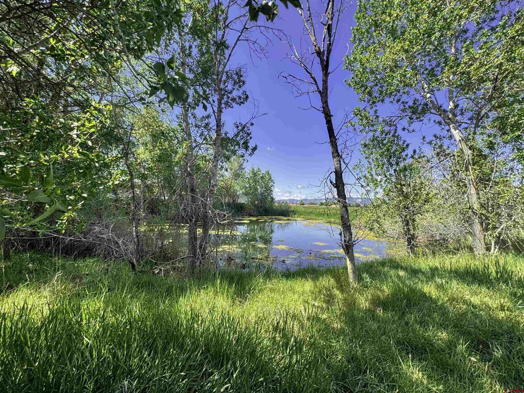 40781 Hwy 160 Property Photo 9