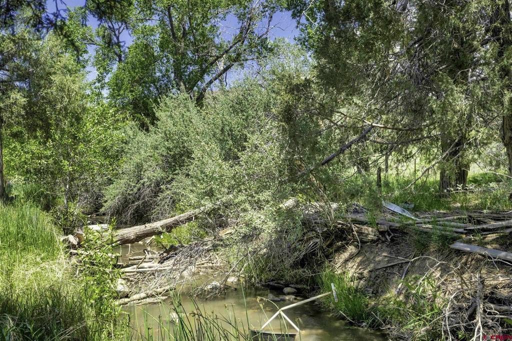40781 Hwy 160 Property Photo 35
