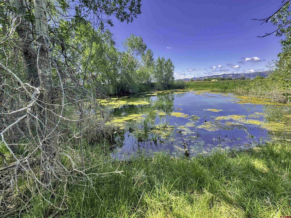 40781 Hwy 160 Property Photo 39