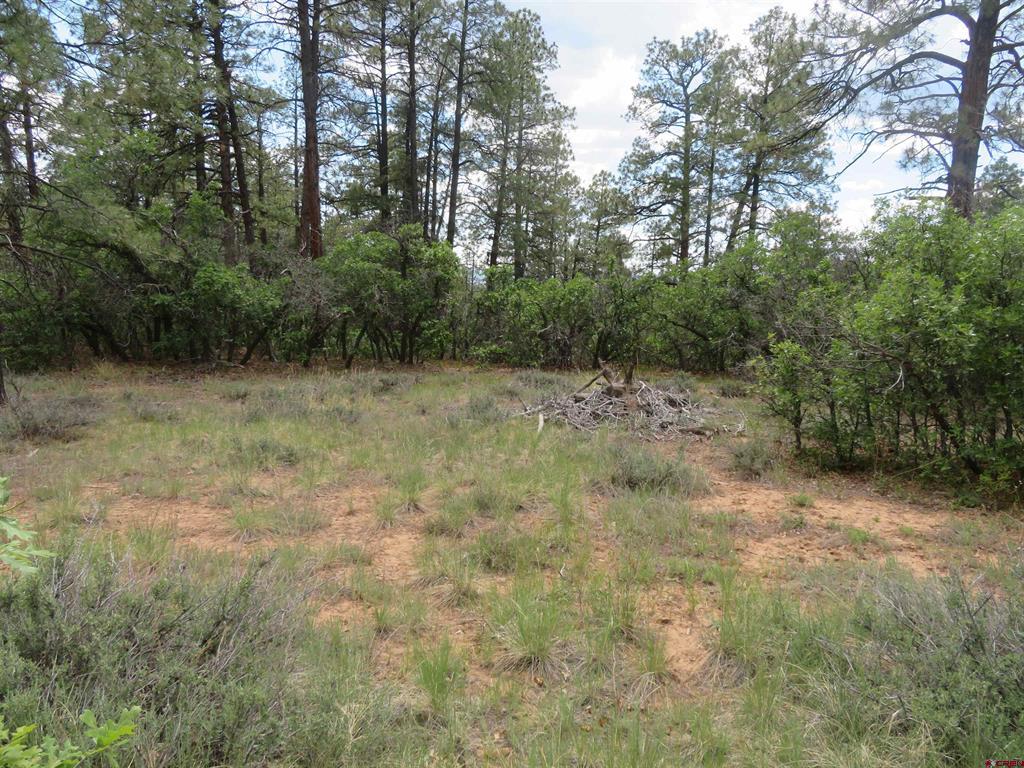 710 Doc Adams Road Property Photo 1