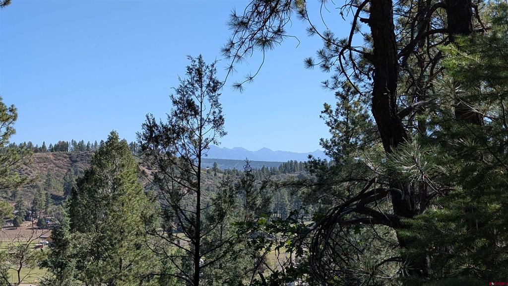 434 Bob's Place Property Photo 2