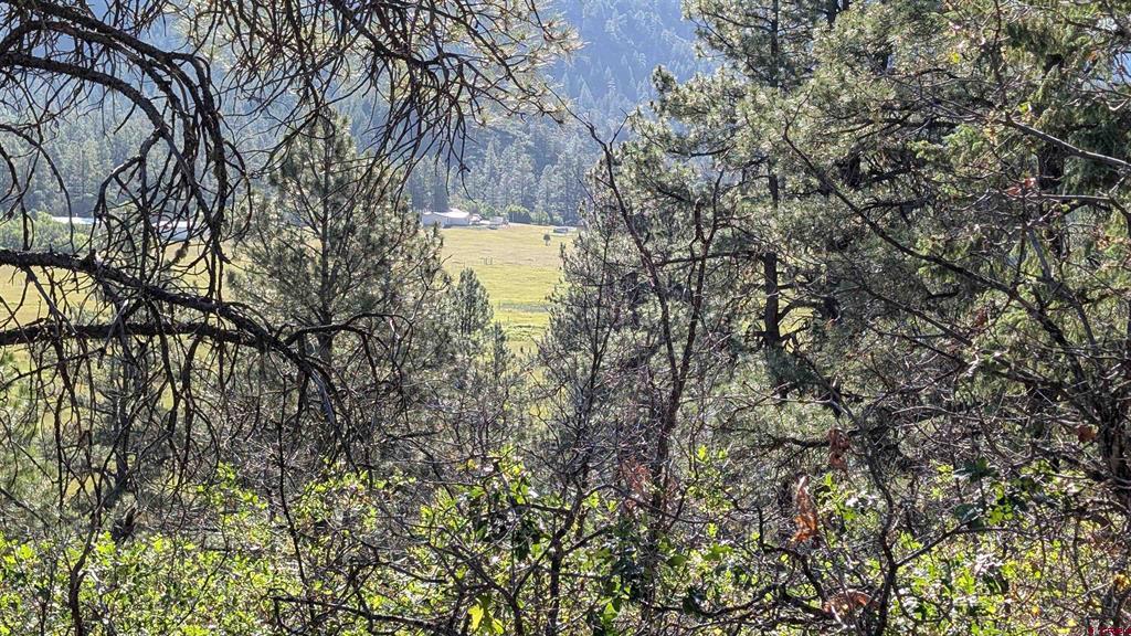 434 Bob's Place Property Photo 3