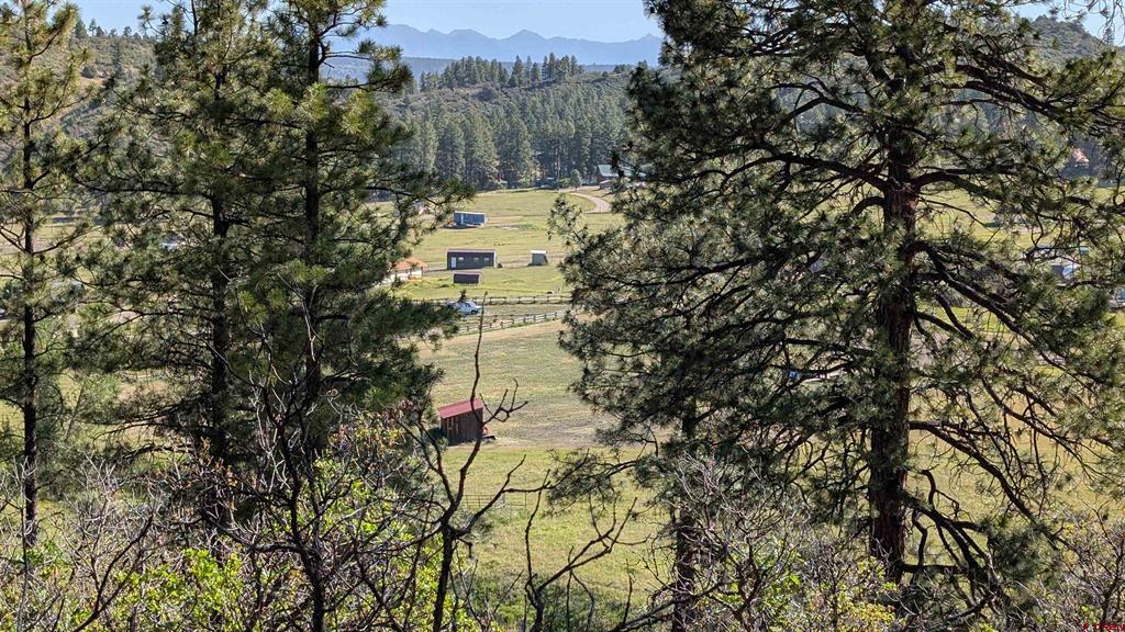 434 Bob's Place Property Photo 4