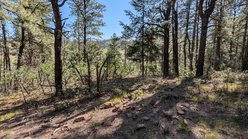 434 Bob's Place Property Photo 5