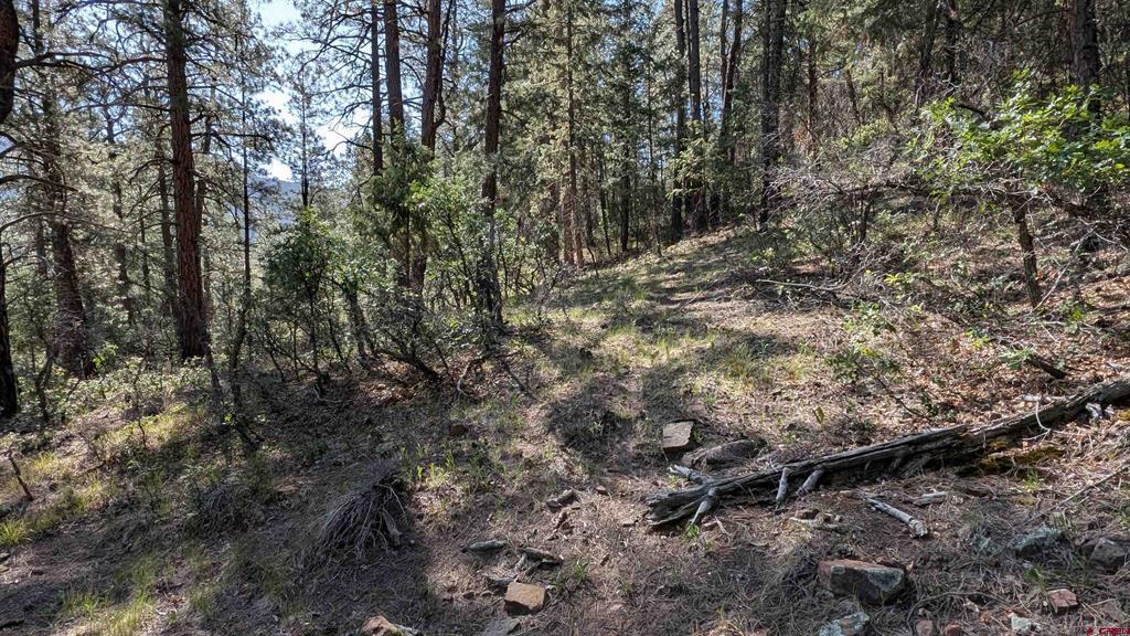 434 Bob's Place Property Photo 6