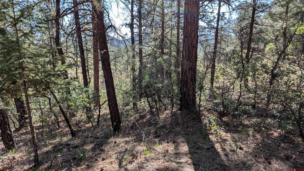 434 Bob's Place Property Photo 7