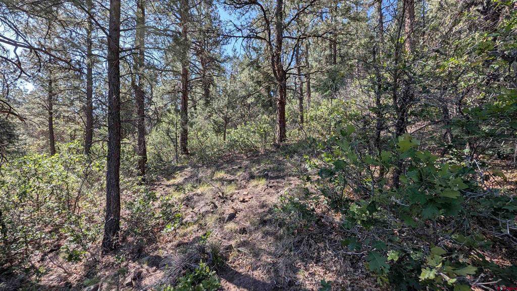 434 Bob's Place Property Photo 8