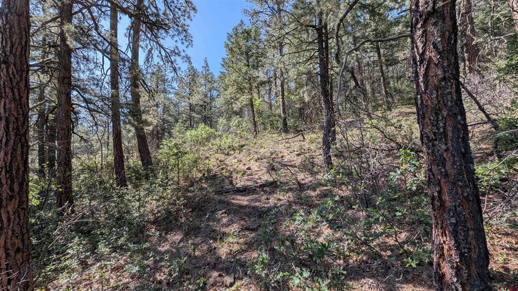 434 Bob's Place Property Photo 9