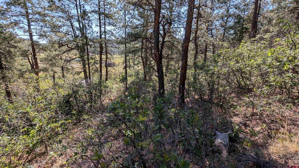 434 Bob's Place Property Photo 10