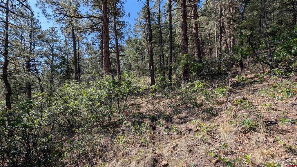 434 Bob's Place Property Photo 11