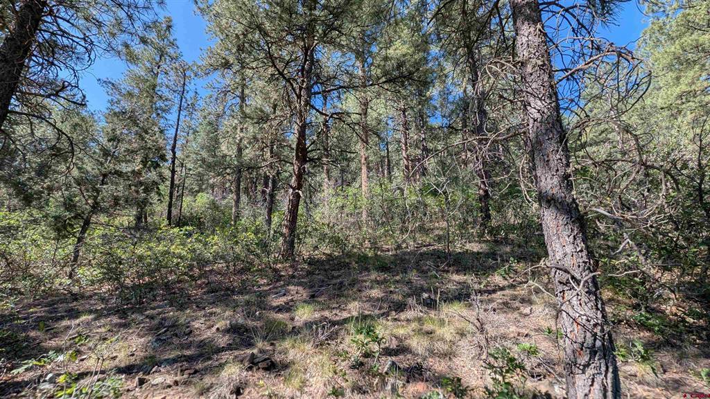 434 Bob's Place Property Photo 12