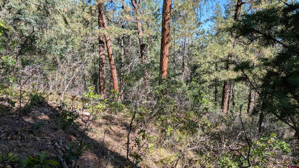 434 Bob's Place Property Photo 13