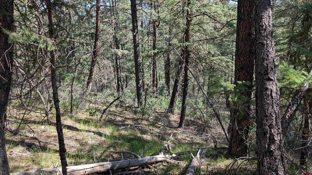 434 Bob's Place Property Photo 14