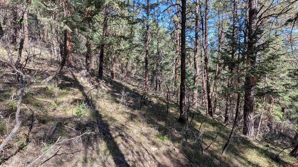 434 Bob's Place Property Photo 15