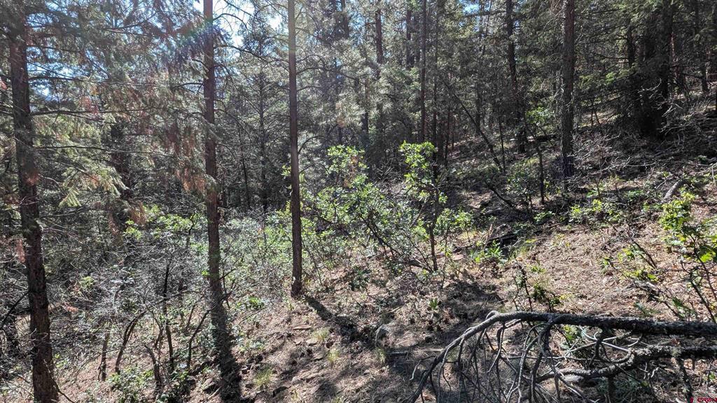 434 Bob's Place Property Photo 16