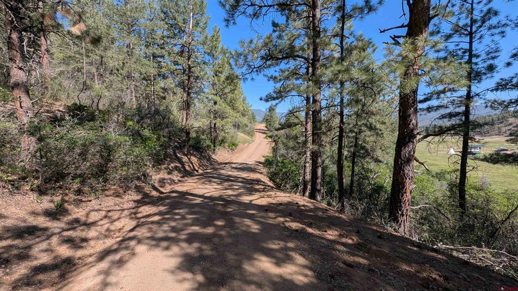 434 Bob's Place Property Photo 17