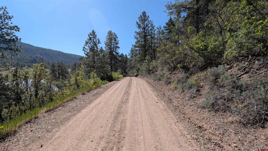 434 Bob's Place Property Photo 18