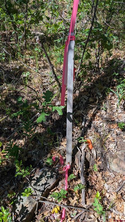 434 Bob's Place Property Photo 20