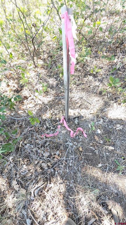 434 Bob's Place Property Photo 21