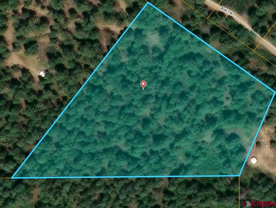 434 Bob's Place Property Photo 22