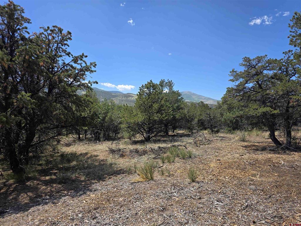 163 Loveland Pass Road Property Photo
