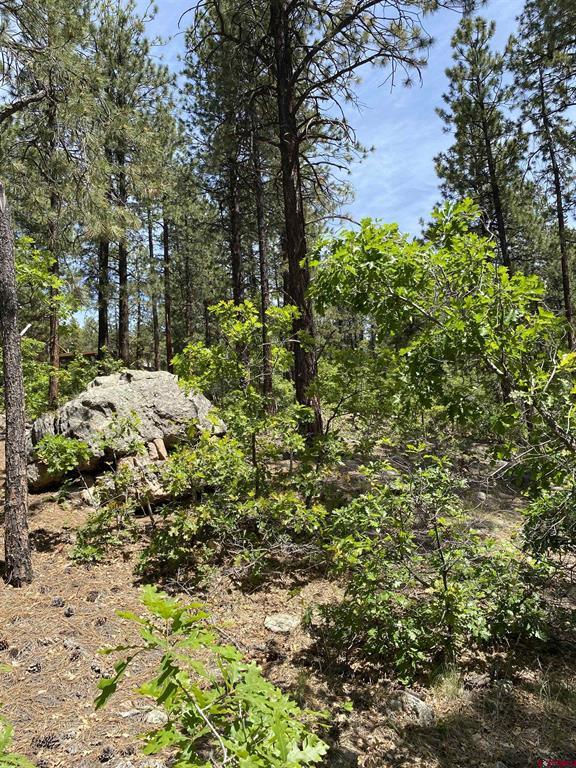 163 Boulder View Drive Property Photo