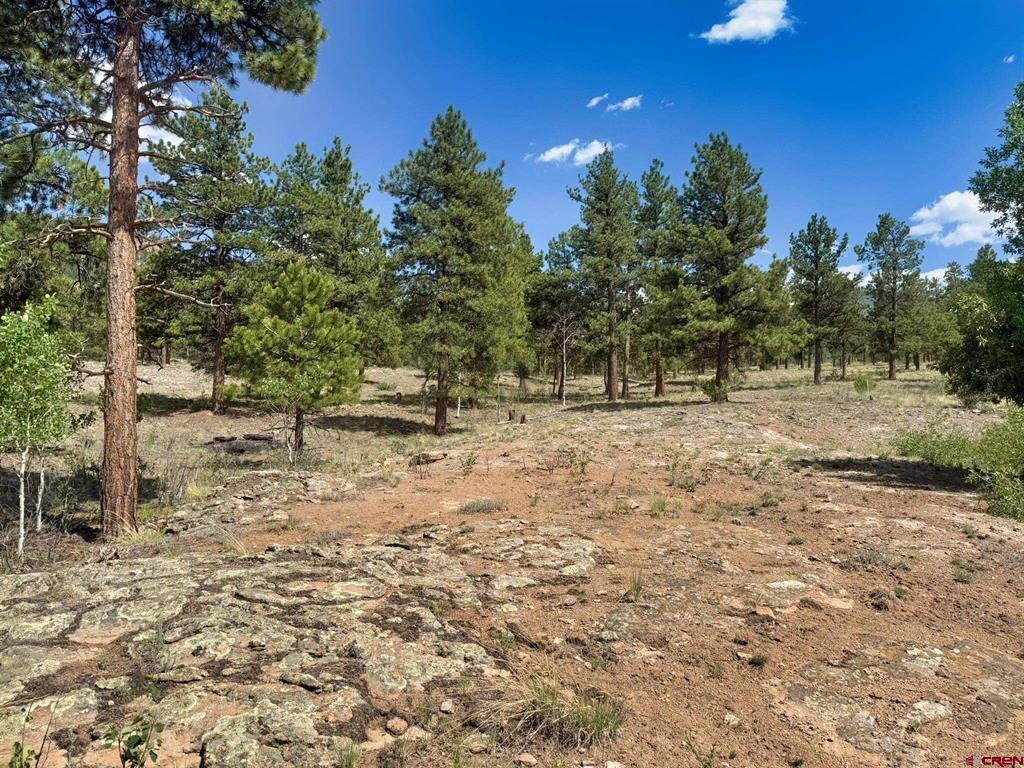 22 Church Creek Circle Property Photo 1