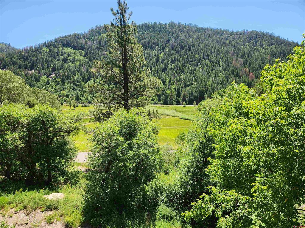 22987 Highway 145 Property Photo 32