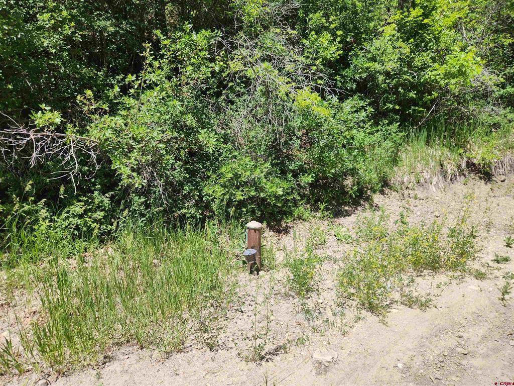 22987 Highway 145 Property Photo 33