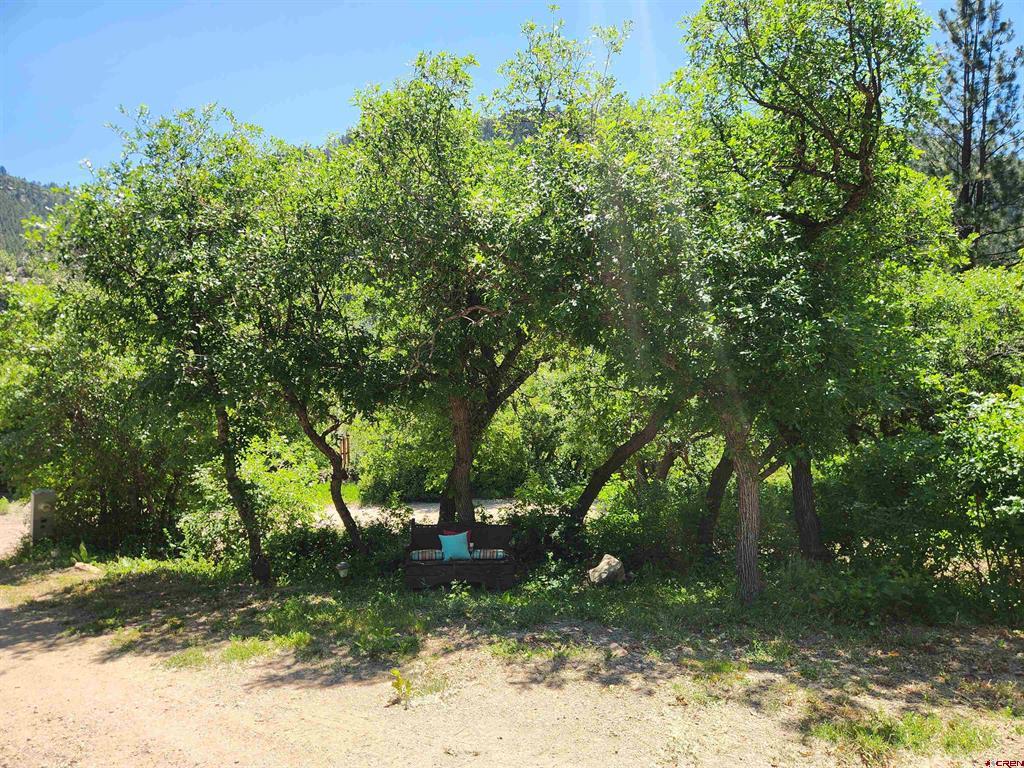 22987 Highway 145 Property Photo 34